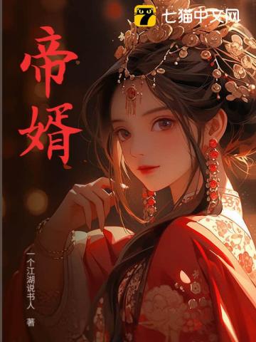帝婿